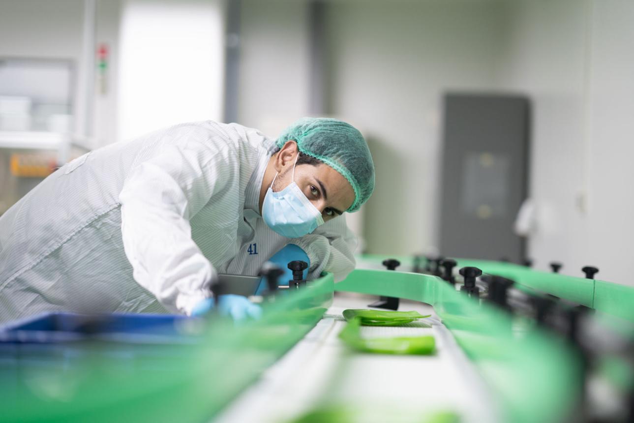 in-process quality checks